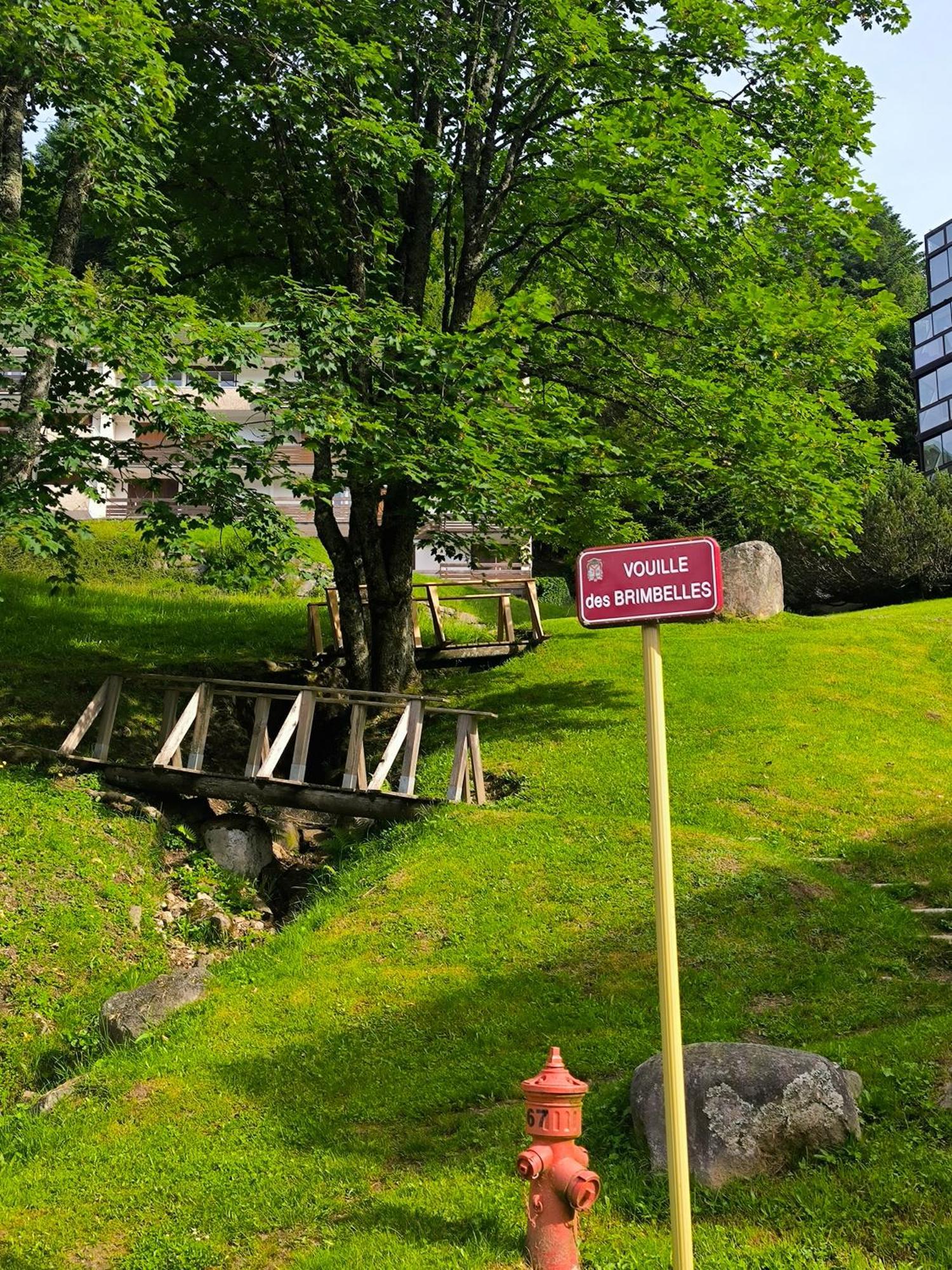 La Bulle Des Sapins Apartment Ла Брес Екстериор снимка